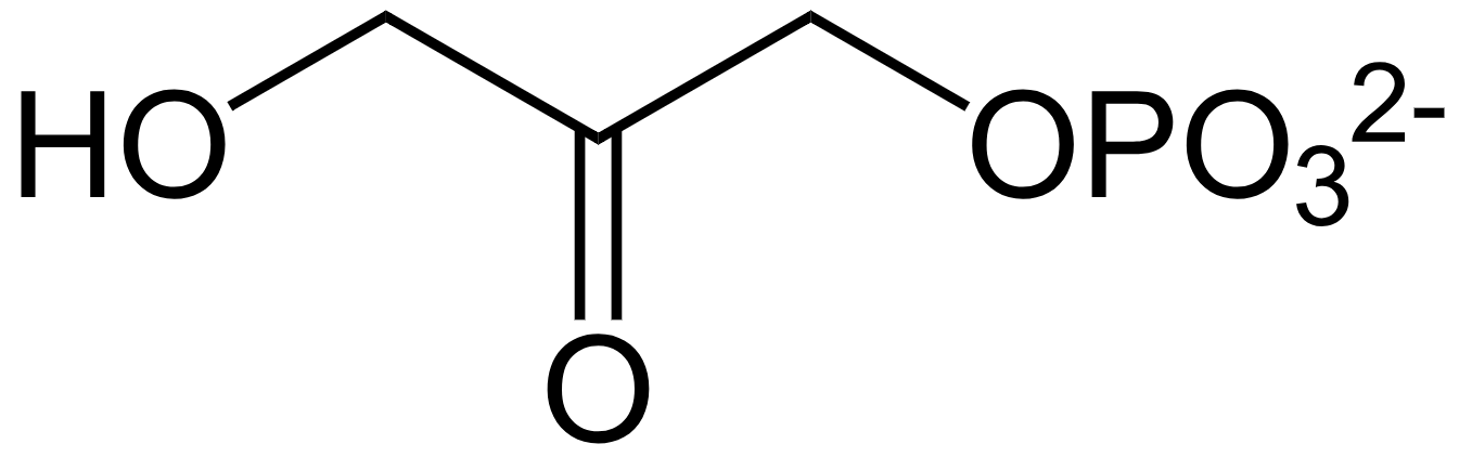 1816393330247454720-TheStructureofDihydroxyacetonePhosphate.png