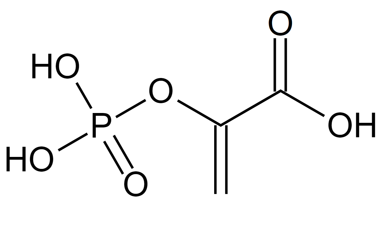 1816403382282866688-TheStructureofPhosphoenolpyruvate.png