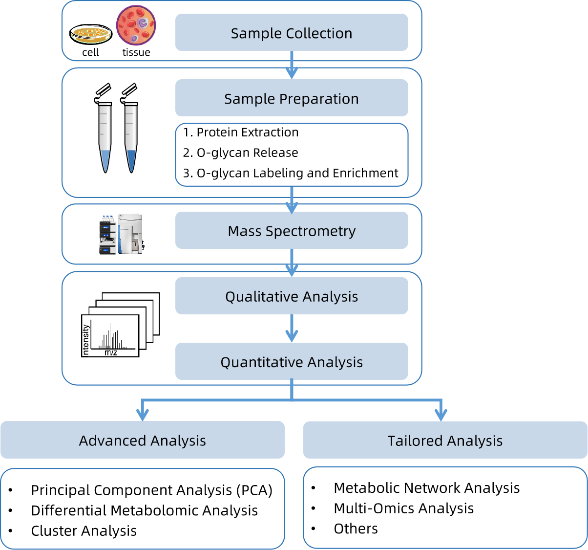 1816728600012509184-WorkflowforMannoseTypeofO-glycanAnalysisService.png