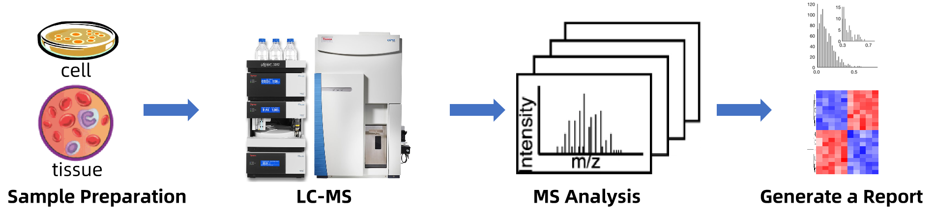 1816741282040107008-WorkflowforChondroitinSulfateandDermatanSulfateAnalysisService.png