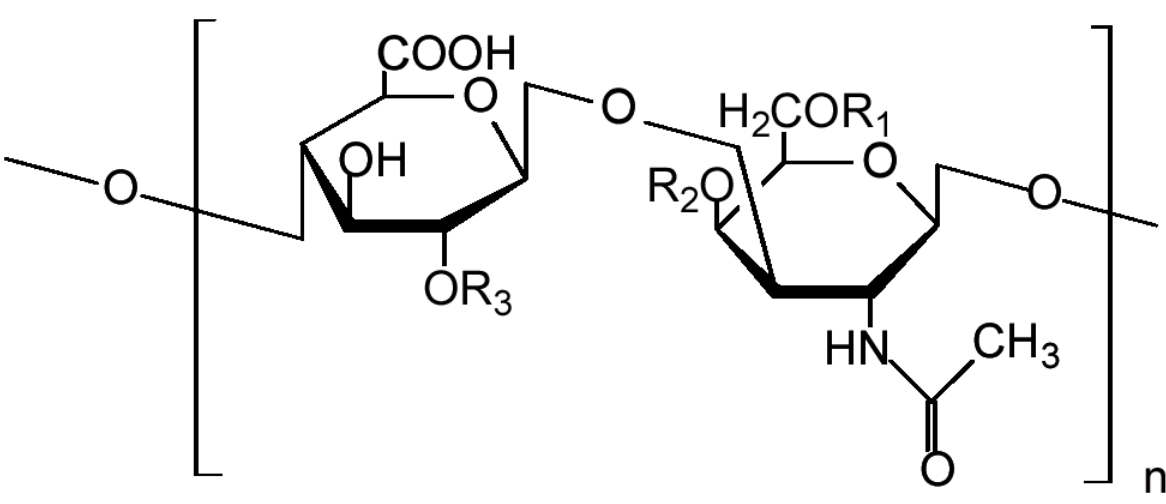 1816744569183260672-TheStructureofOneUnitinaChondroitinSulfateChain.png