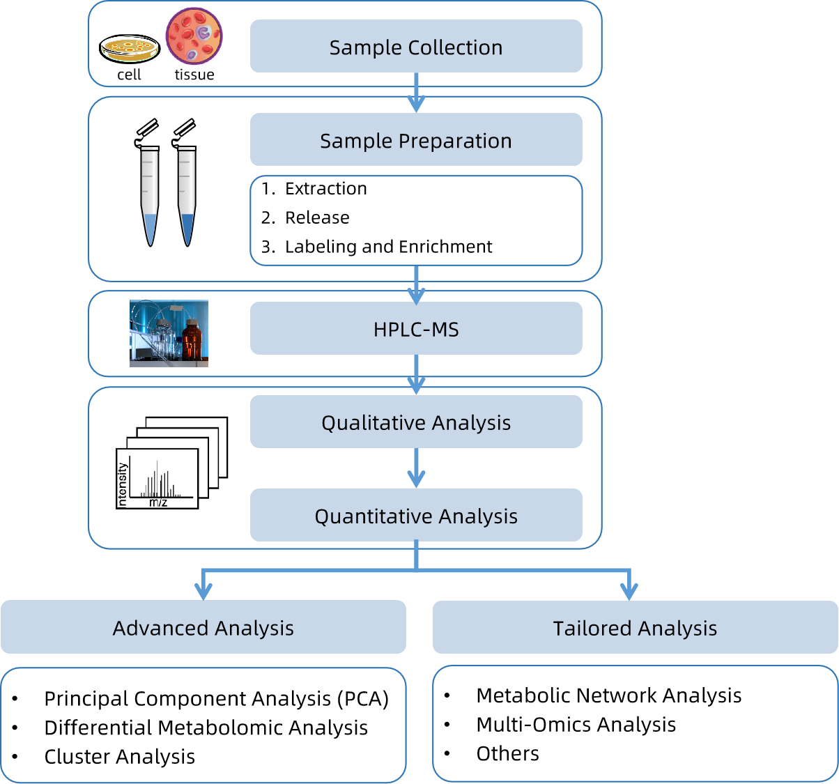 1818216808881704960-WorkflowforFattyAcidDegradationAnalysisService.png