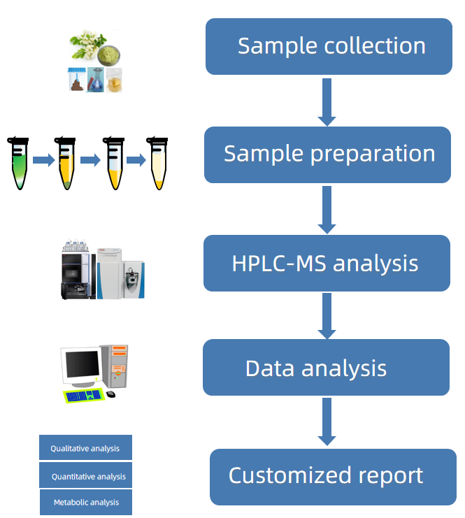 1818454569781940224-WorkflowforChrysosplenetinbyHPLC-MSAnalysis.PNG