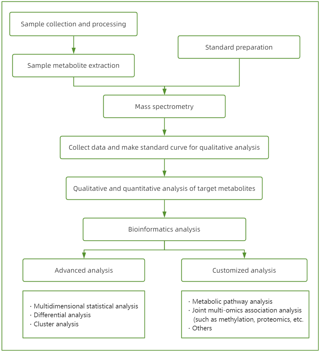 1818514083013054464-TheWorkflowofViolaxanthinMyristateOleateAnalysis.png