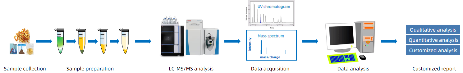 1818485379190829056-WorkflowforNaringinDihydrochalconebyLC-MSMSAnalysis.png