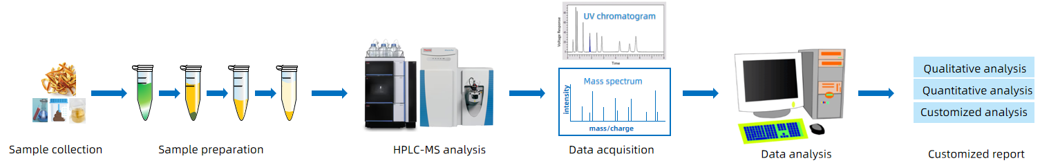 1818486114854973440-Workflowfor4'-HydroxychalconebyHPLC-MSAnalysis.png