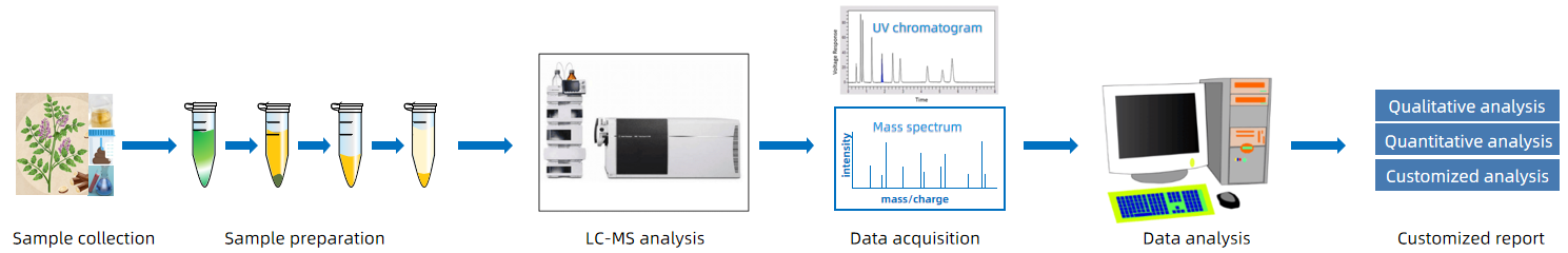 1818486314331877376-WorkflowforLicochalconeEbyLC-MSAnalysis.png