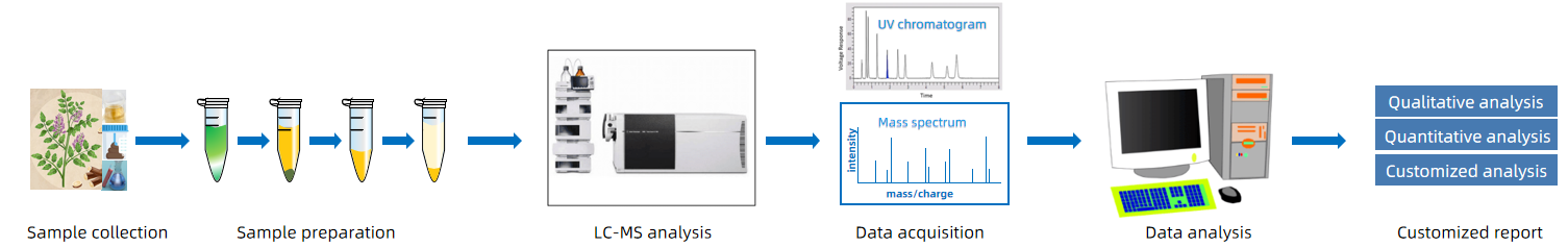 1818487068065083392-WorkflowforEchinatinbyLC-MSAnalysis.png