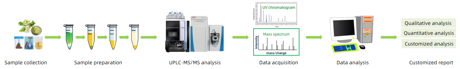 1818512631806898176-WorkflowforDihydromyricetinbyUPLC-MSMSAnalysis.png