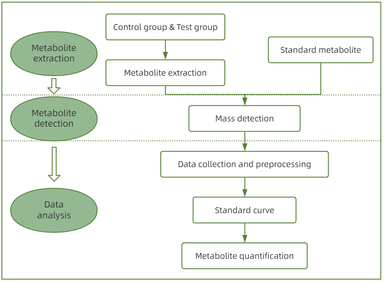 1818943922975133696-TheWorkflowofα-Cryptoxanthin.png