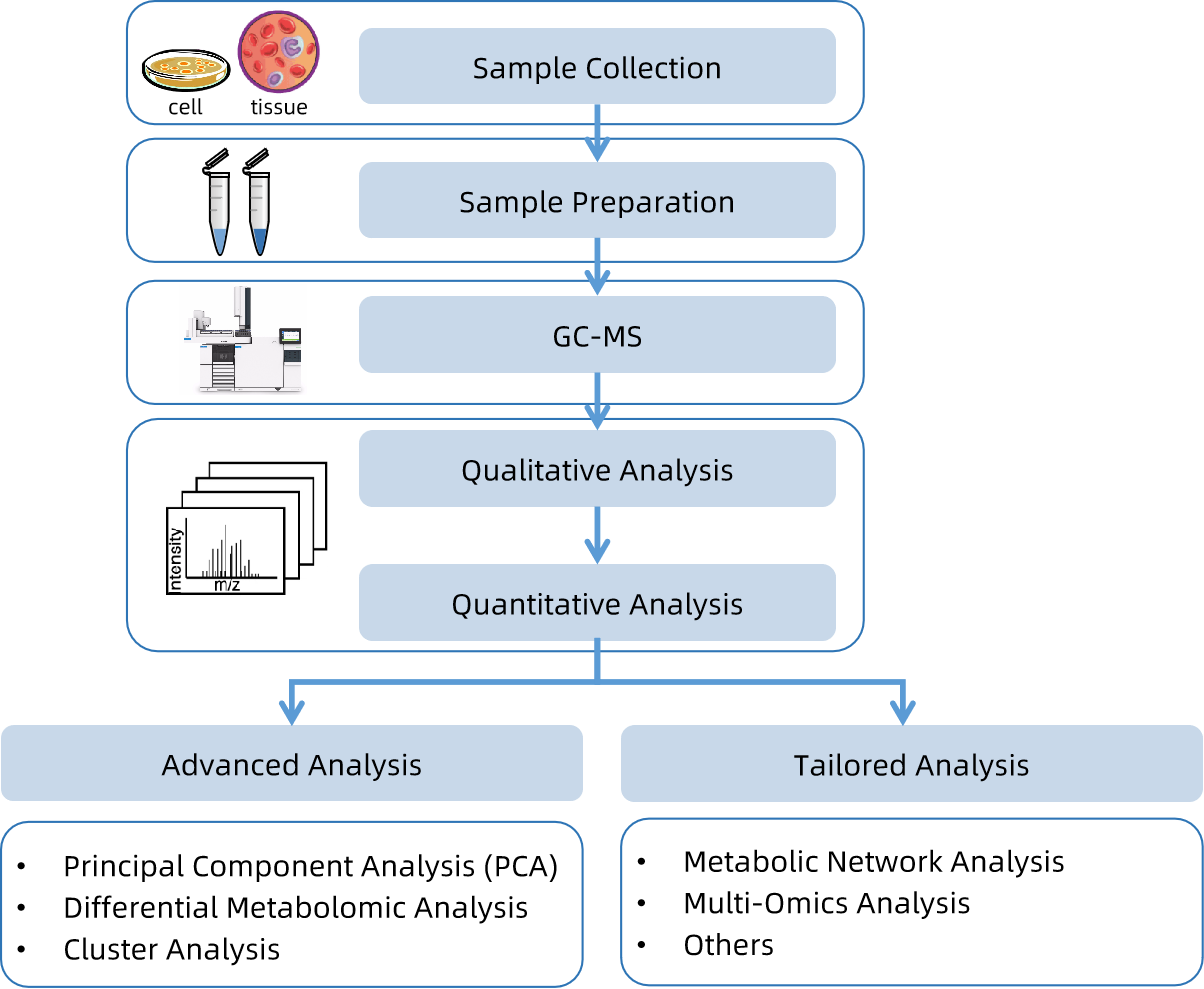 1818829798689591296-WorkflowforOctanoicAcidAnalysisService.png