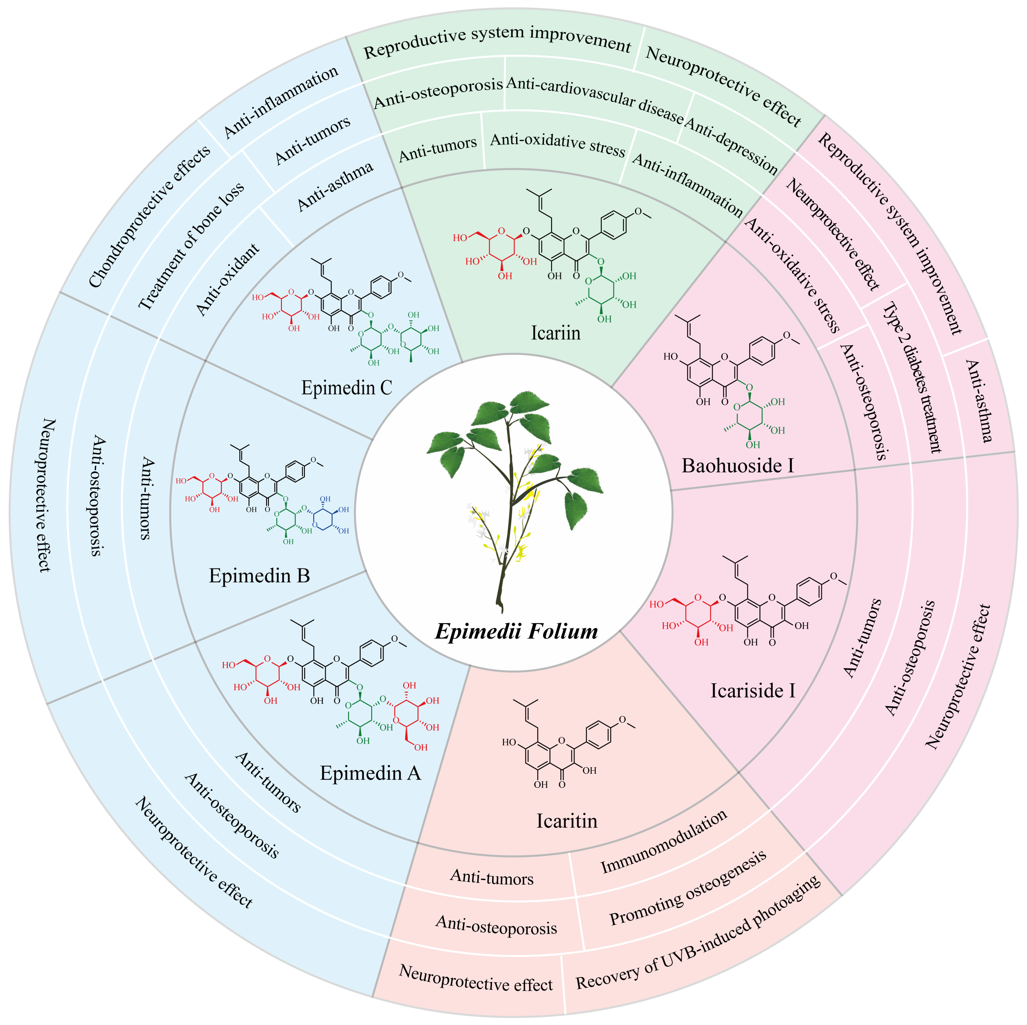 1818927663017480192-ThePharmacologicalActivityofIcarisideI.png