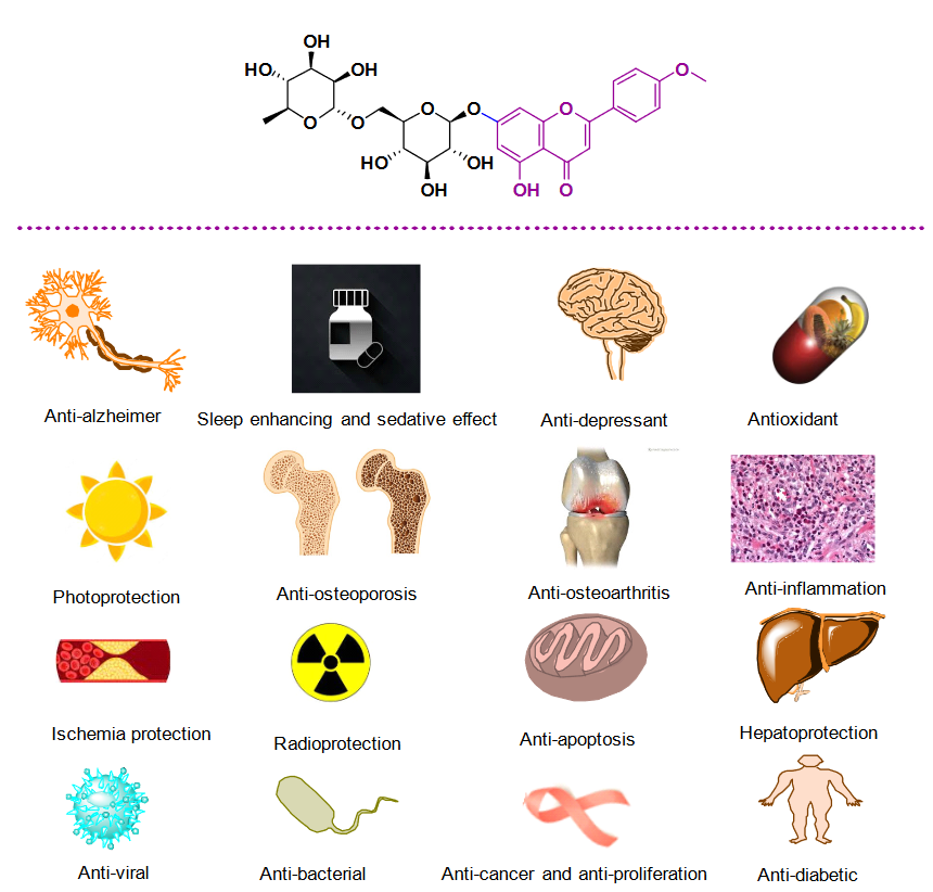 1819201064311312384-TheBiologicalActivitiesofLinarin.PNG