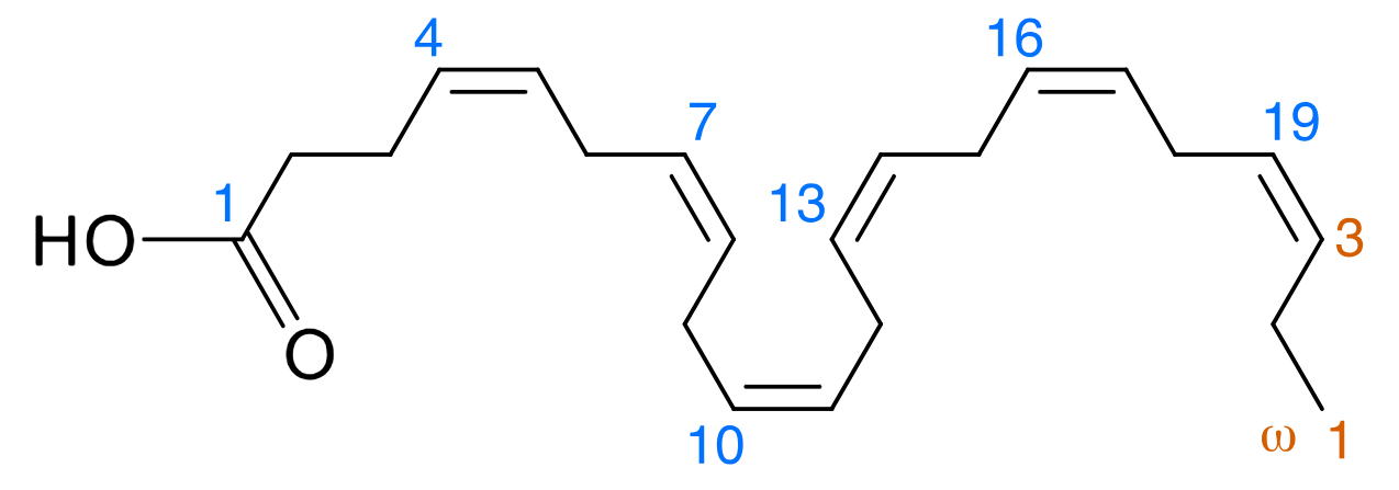 1819206831416397824-TheStructureofDocosahexaenoicAcid.png