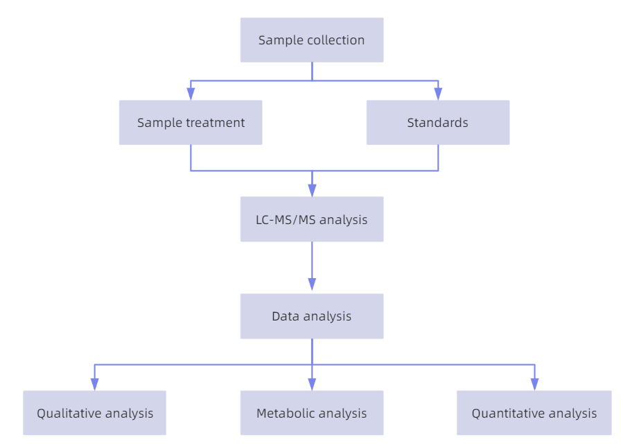 1819248448816885760-TheWorkflowofLC-MSMSAnalysisofPolymethoxylatedFlavones.png