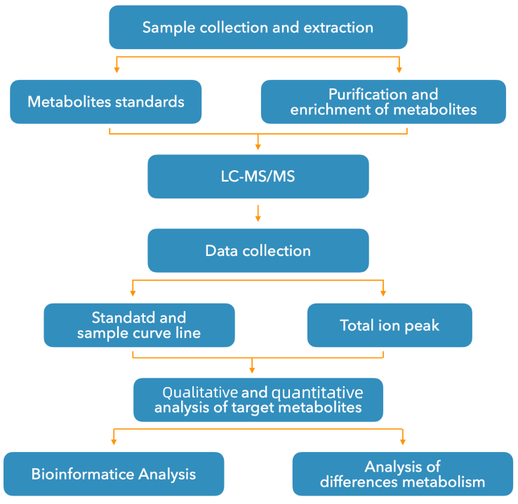 1819250726944714752-TheWorkflowofLC-MSMSAnalysisofFlavonoids.png