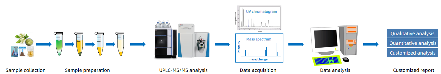 1819255434753159168-TheWorkflowofUPLC-MSMSAnalysisofRutin.png