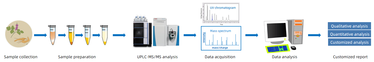 1819256345659518976-TheWorkflowofUPLC-MSMSAnalysisofPuerarin.png