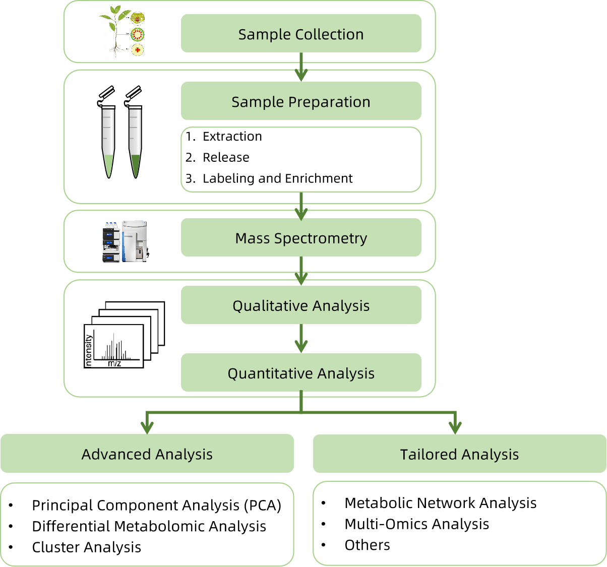 1820380770599555072-WorkflowforWheatGermAgglutininWGAAnalysisService.png