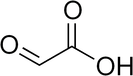 1820636068929196032-MolecularStructureofGlyoxylicAcid.png