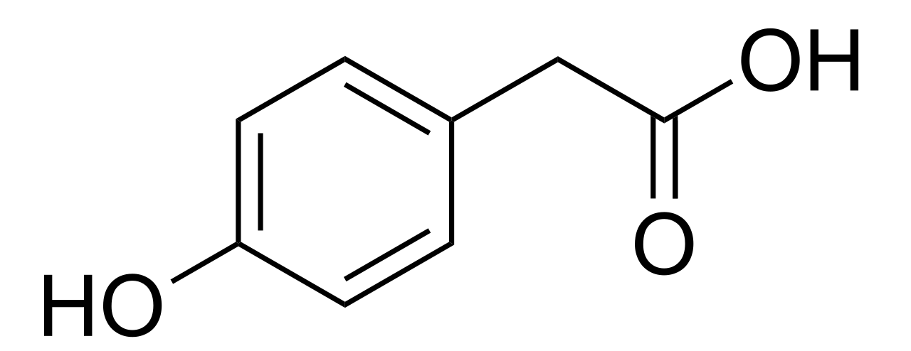 1820660740022456320-MolecularStructureof4-HydroxyphenylaceticAcid.png