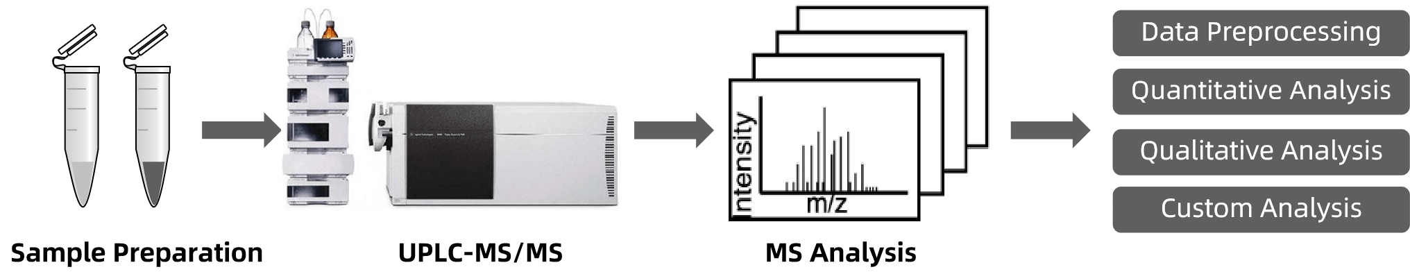 1820739083304554496-TheWorkflowof3,4-DihydroxyphenylaceticAcidAnalysis.png