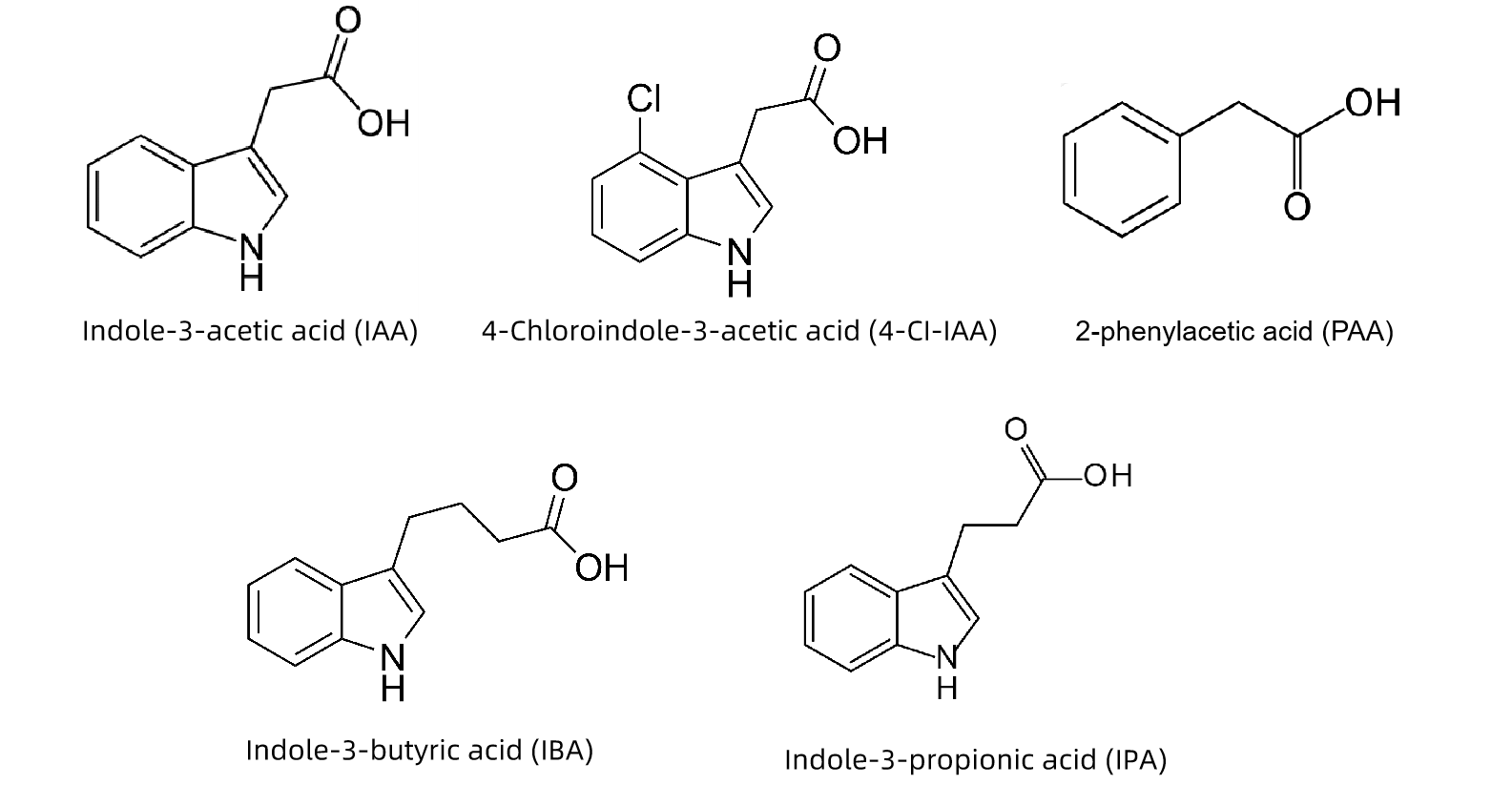 1820699552895324160-TheStructureofNativeAuxin.png