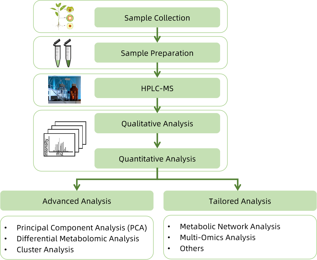 1820753782750433280-WorkflowforCinnamicAcidAnalysisService.png