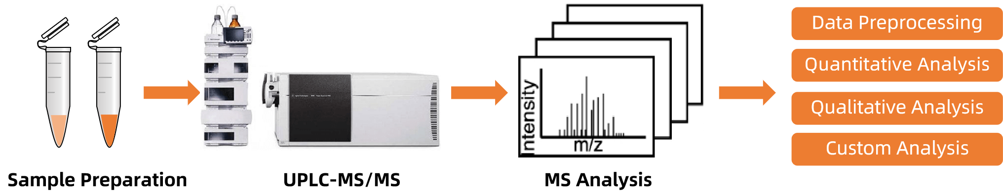 1820754508474077184-TheWorkflowofIndolelacticAcidAnalysis.png