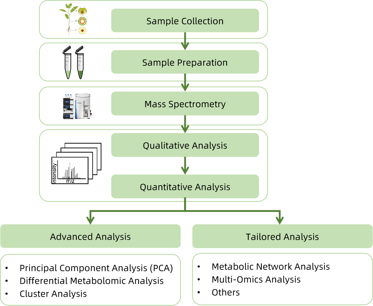 1821060388629368832-WorkflowforSinalbinP-hydroxybenzylGlucosinolateAnalysisService.png