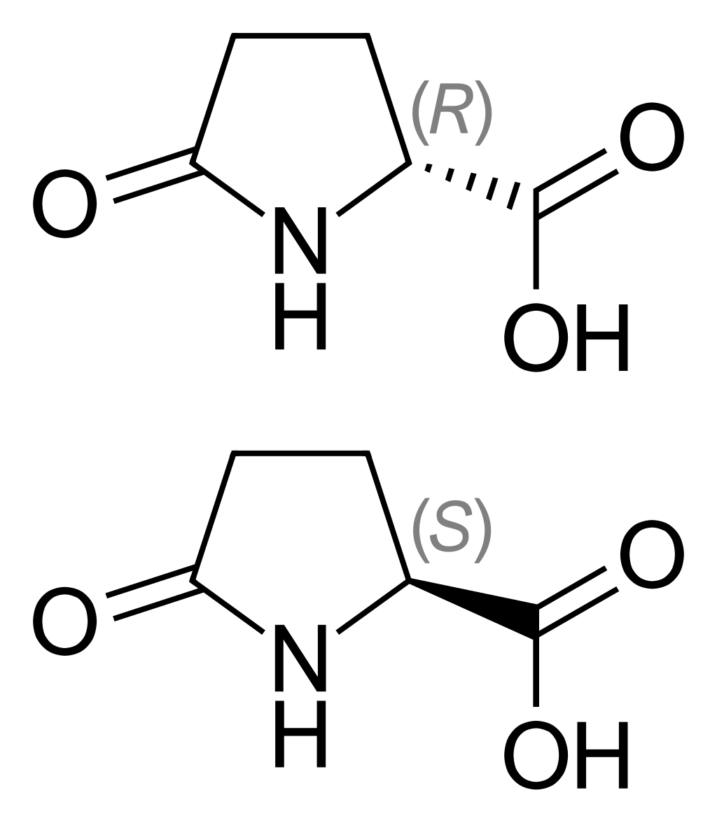 1821070291322392576-MolecularStructureofPyroglutamicAcid.png