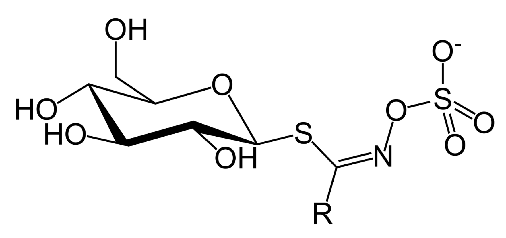 1821087860980830208-TheStructureofGlucosinolates.png