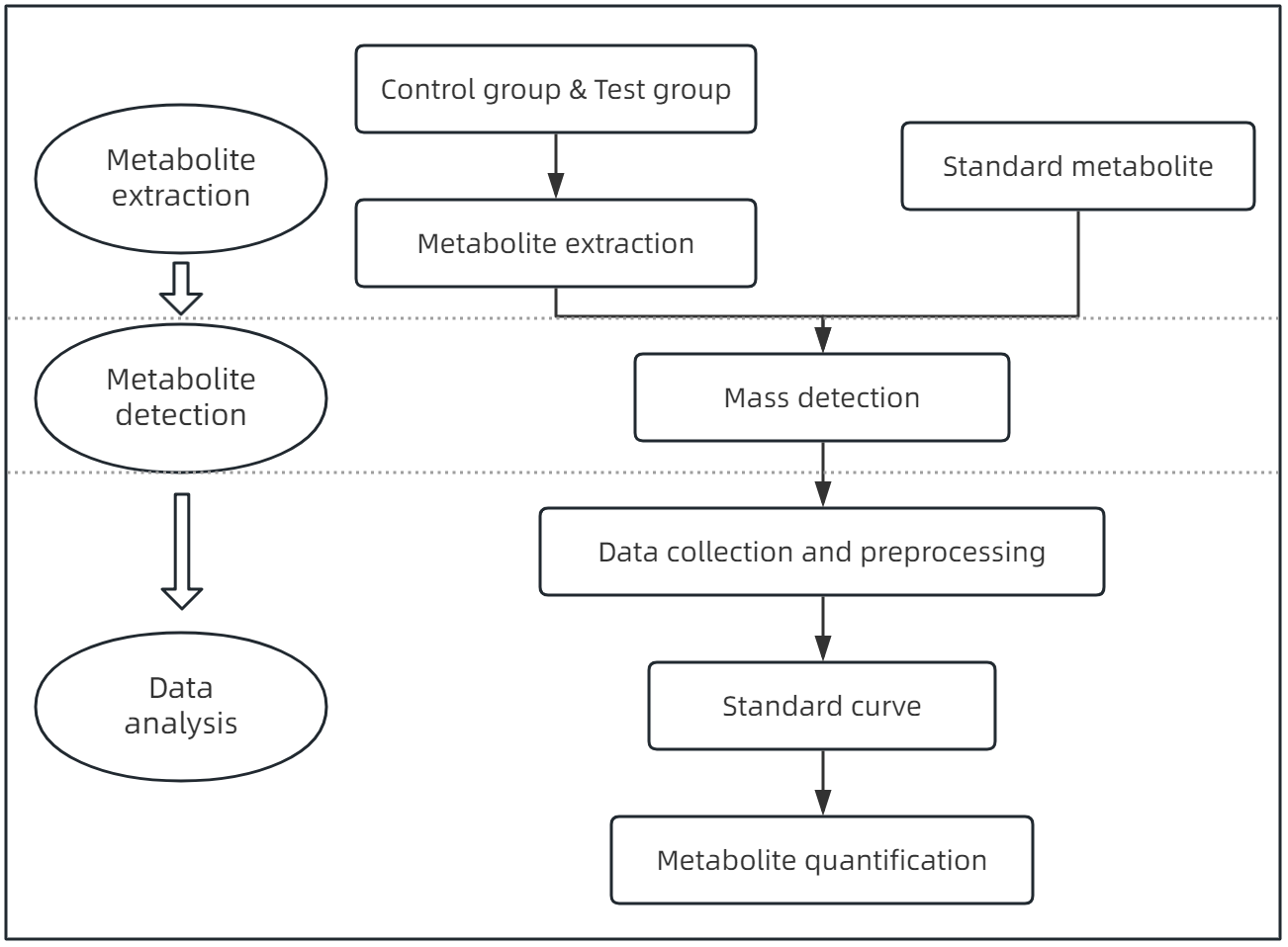 1821462241389170688-TheWorkflowof2-Hydroxy-2-MethylbutyricAcidAnalysis.png