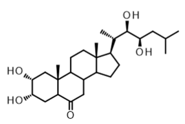 1821779382642528256-TheStructureof28-Norcastasterone.PNG