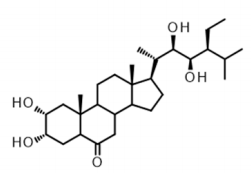 1821784537966432256-TheStructureof28-Homocastasterone.PNG