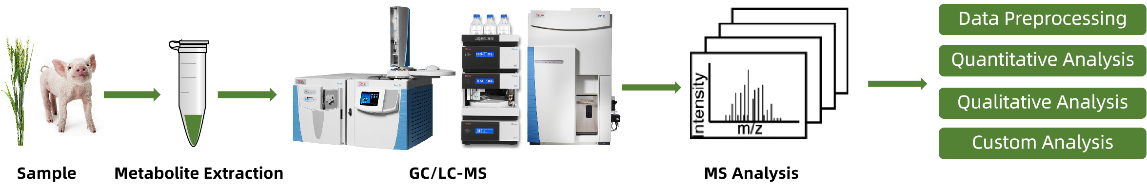 1821813415082577920-TheWorkflowofTraitBiomarkerAnalysis.png
