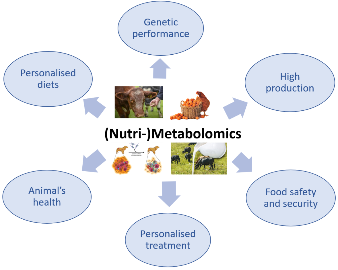 1821818383608958976-TheImportanceofNutri-Metabolomics.png