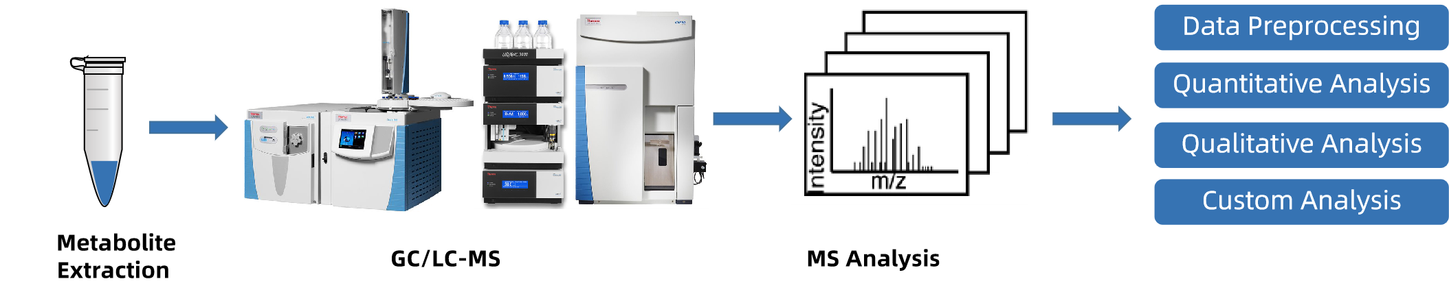 1821818469357309952-TheWorkflowofAnimalNutritionResearchMetabolomics.png