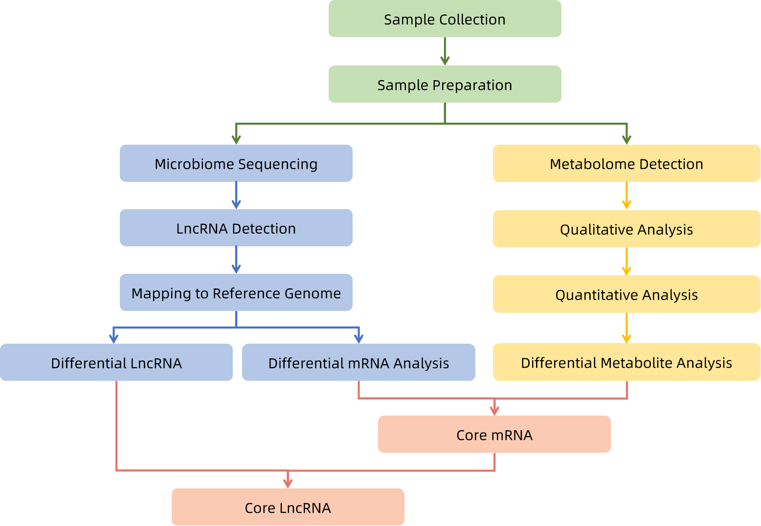 1821794850161938432-WorkflowforIntegrativeMetabolomeandMicrobiomeAnalysis.png