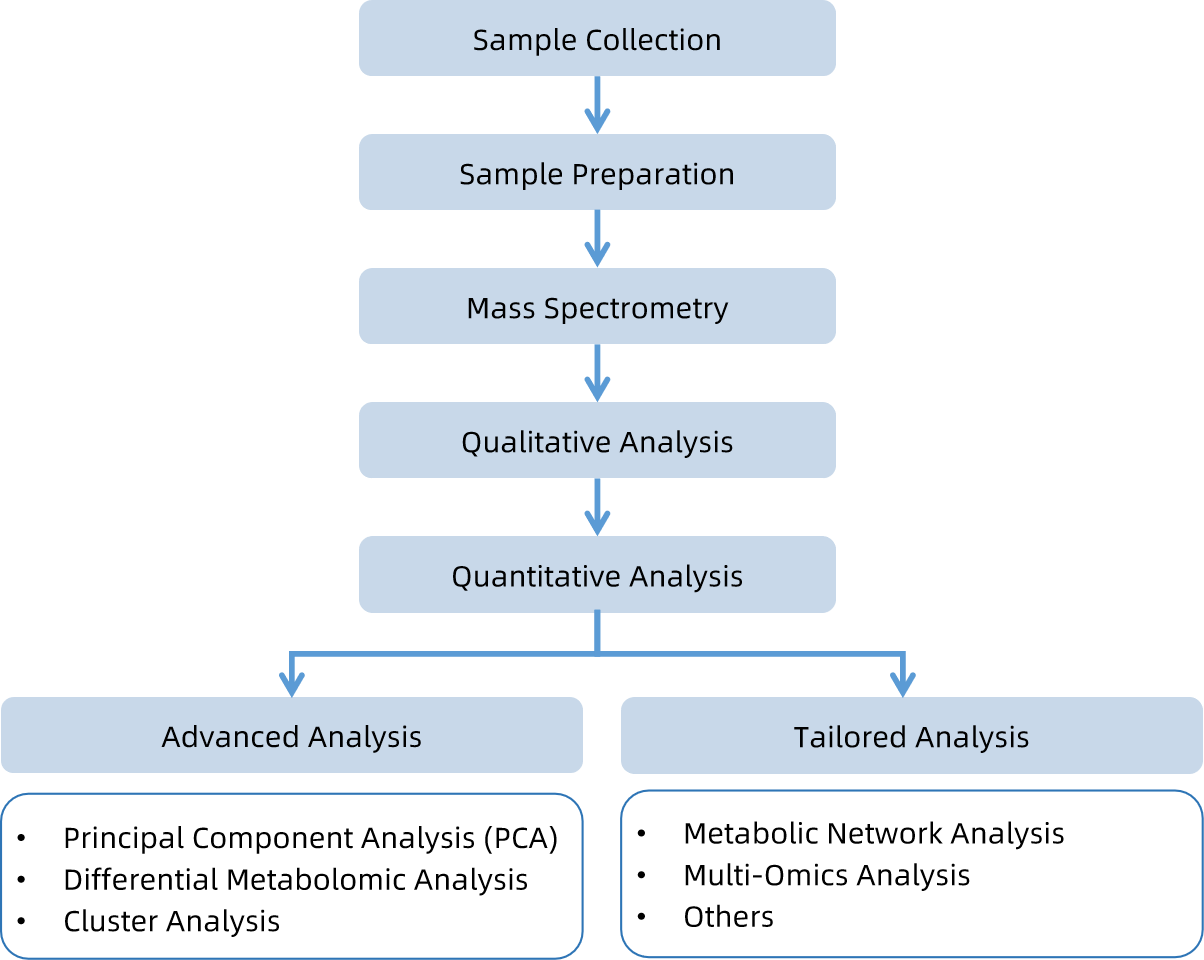 1821818944571953152-WorkflowforGoutMetabolomicsService.png