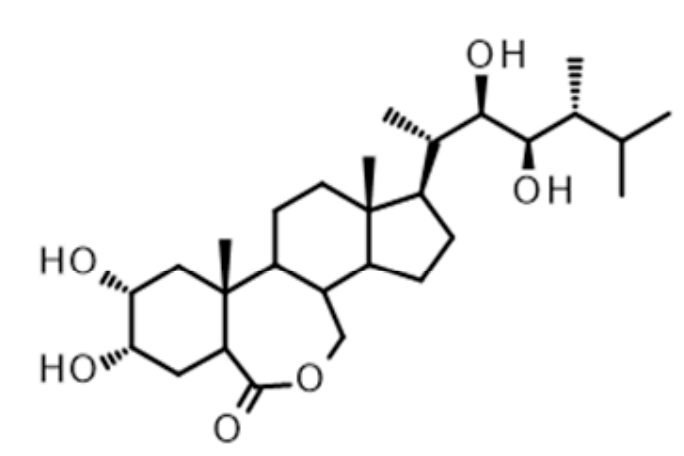 1821822069072580608-TheStructureof24-epi-Brassinolide.PNG