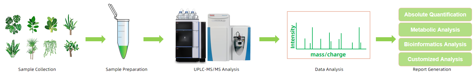 1821822141554348032-Workflowfor24-epi-BrassinolidebyUPLC-MSMSAnalysis.PNG