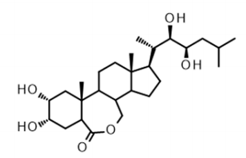 1821822262144782336-TheStructureof28-Norbrassinolide.PNG