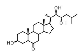 1821822427584909312-TheStructureof28-Norteasterone.PNG