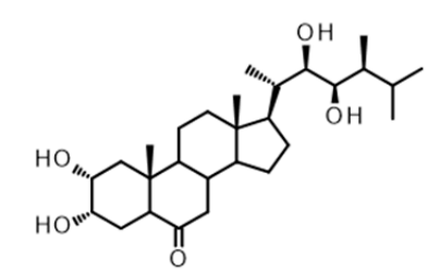 1821822819358068736-TheStructureofCastasterone.PNG