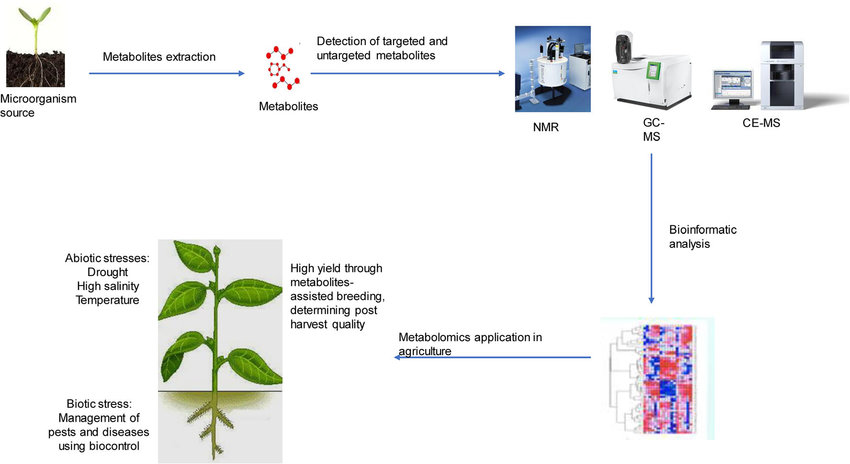 1822935337883258880-MetabolomicsinAgriculture1.png