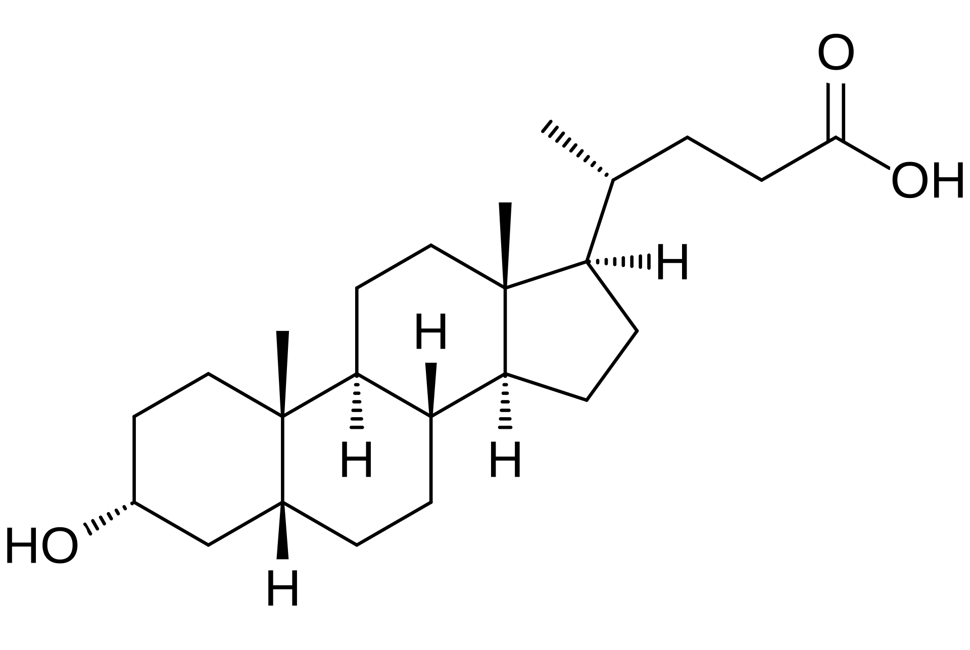 1822930294140424192-MolecularStructureofLithocholicAcid.png