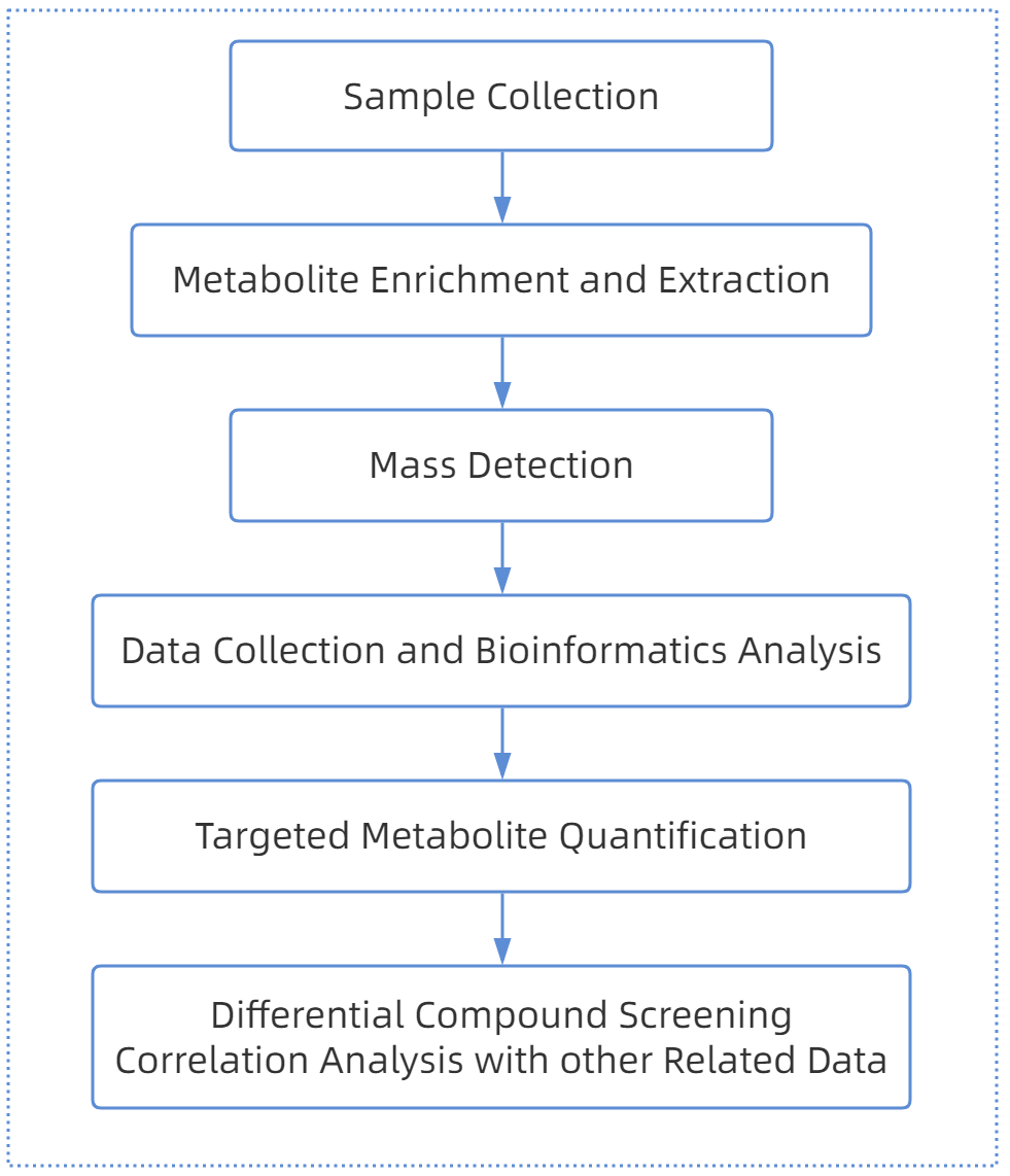 1822930419847909376-TheWorkflowofLithocholicAcidAnalysis.png