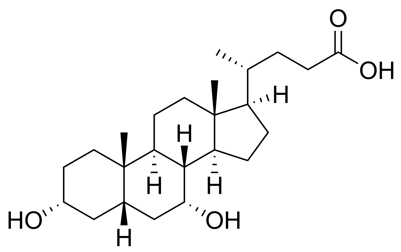 1822931542973468672-MolecularStructureofChenodeoxycholicAcid.png