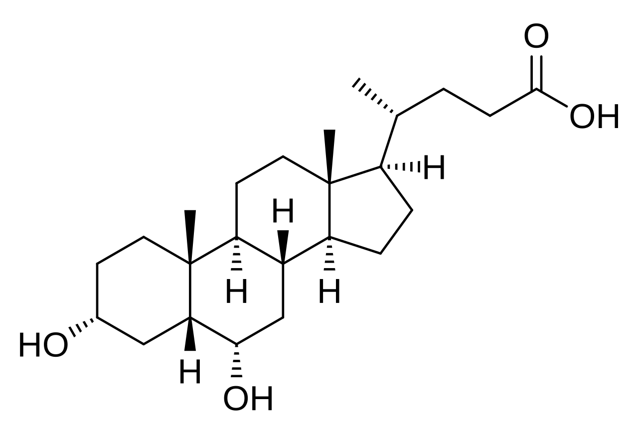 1822933362814865408-MolecularStructureofHyodeoxycholicAcid.png